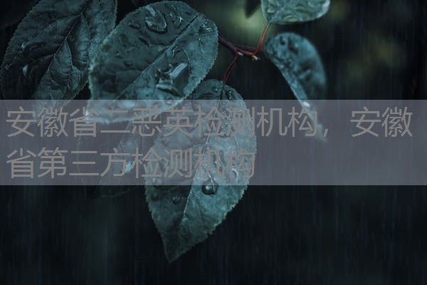 安徽省二恶英检测机构,安徽省第三方检测机构 安徽省二恶英检测机构,安徽省第三方检测机构