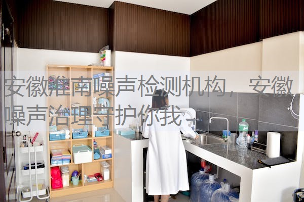 安徽淮南噪声检测机构,安徽噪声治理守护你我 安徽淮南噪声检测机构,安徽噪声治理守护你我