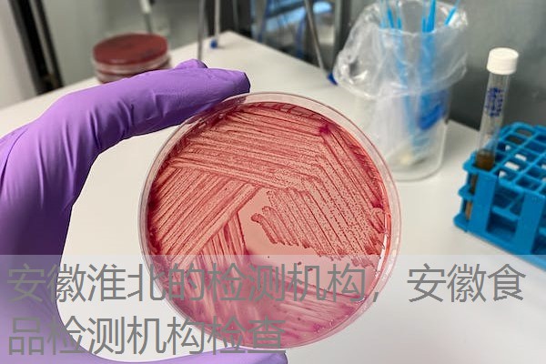 安徽淮北的检测机构，安徽食品检测机构检查