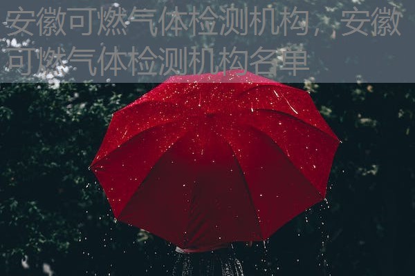 安徽可燃气体检测机构,安徽可燃气体检测机构名单 安徽可燃气体检测机构,安徽可燃气体检测机构名单