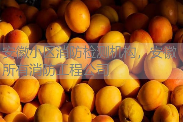 安徽小区消防检测机构,安徽所有消防工程公司 安徽小区消防检测机构,安徽所有消防工程公司