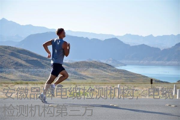 安徽品牌电缆检测机构，电缆检测机构第三方