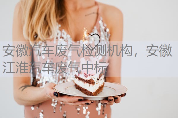 安徽汽车废气检测机构，安徽江淮汽车废气中标