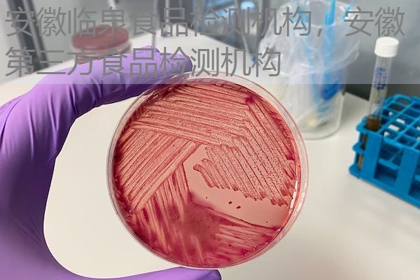 安徽临泉食品检测机构，安徽第三方食品检测机构