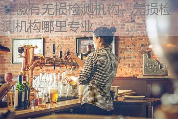 安徽有无损检测机构,无损检测机构哪里专业 安徽有无损检测机构,无损检测机构哪里专业
