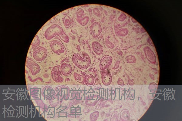 安徽图像视觉检测机构,安徽检测机构名单 安徽图像视觉检测机构,安徽检测机构名单
