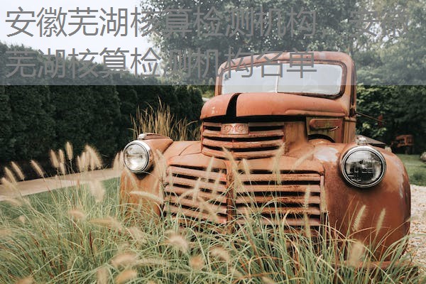 安徽芜湖核算检测机构，安徽芜湖核算检测机构名单