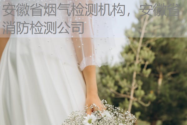 安徽省烟气检测机构,安徽省消防检测公司 安徽省烟气检测机构,安徽省消防检测公司