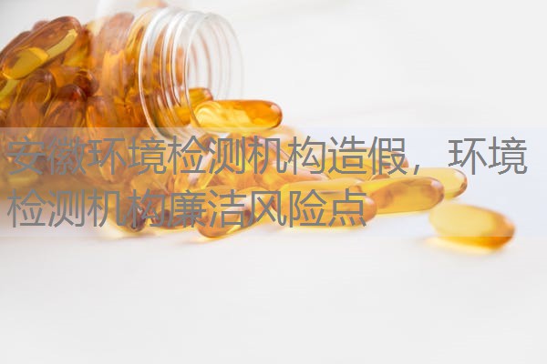 安徽环境检测机构造假，环境检测机构廉洁风险点
