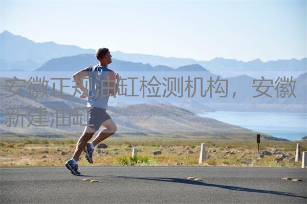 安徽正规油缸检测机构，安徽 新建油缸