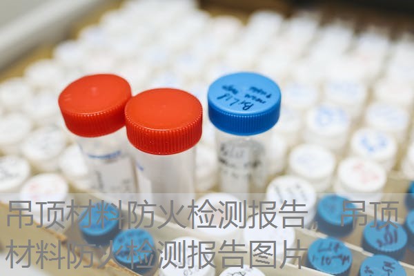 吊顶材料防火检测报告，吊顶材料防火检测报告图片