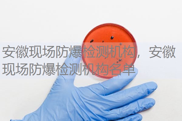 安徽现场防爆检测机构，安徽现场防爆检测机构名单
