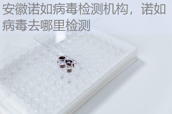安徽诺如病毒检测机构，诺如病毒去哪里检测