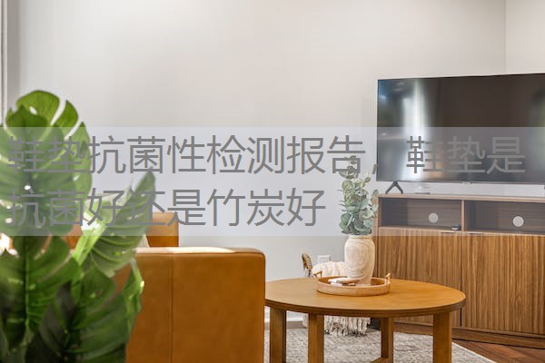 鞋垫抗菌性检测报告，鞋垫是抗菌好还是竹炭好