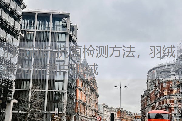 羽绒制品抗菌检测方法，羽绒被5a抗菌白鹅绒
