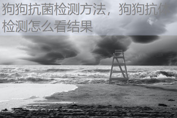 狗狗抗菌检测方法，狗狗抗体检测怎么看结果