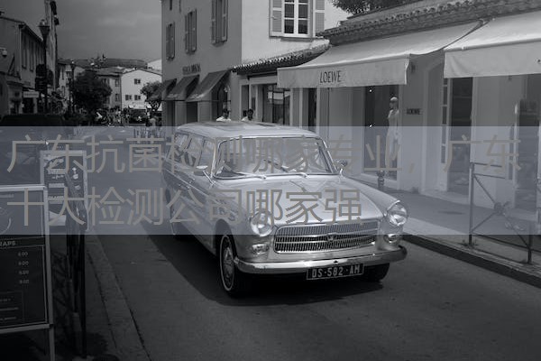广东抗菌检测哪家专业，广东十大检测公司哪家强