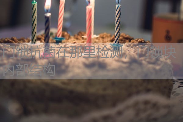 门锁抗菌在那里检测，门锁块内部结构