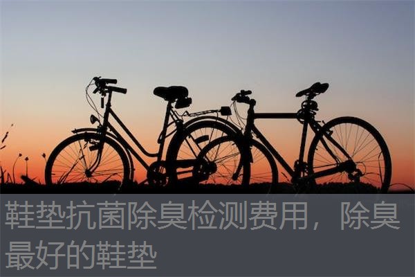 鞋垫抗菌除臭检测费用，除臭最好的鞋垫