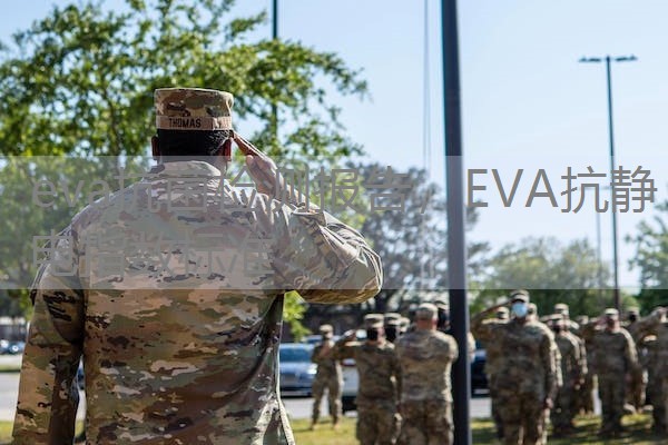 eva抗菌检测报告，EVA抗静电指数标准