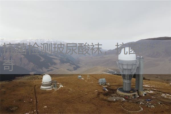 抗菌检测玻尿酸袜，抗菌袜神奇