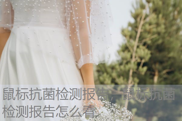 鼠标抗菌检测报告,鼠标抗菌检测报告怎么看 鼠标抗菌检测报告,鼠标抗菌检测报告怎么看