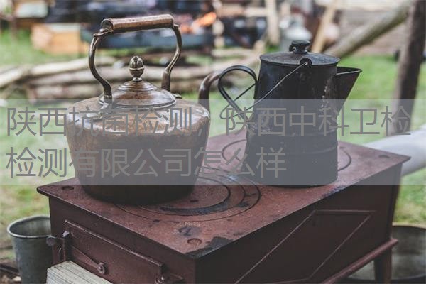 陕西抗菌检测，陕西中科卫检检测有限公司怎么样