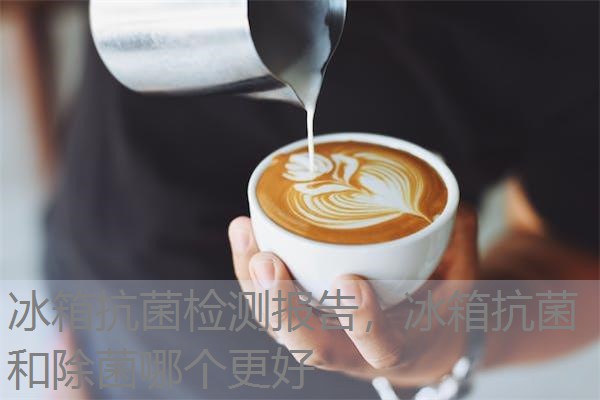 冰箱抗菌检测报告，冰箱抗菌和除菌哪个更好