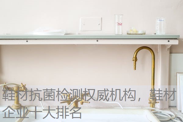 鞋材抗菌检测权威机构，鞋材企业十大排名