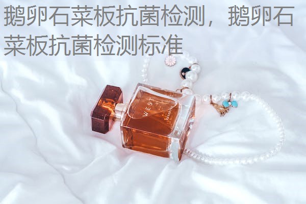 鹅卵石菜板抗菌检测，鹅卵石菜板抗菌检测标准