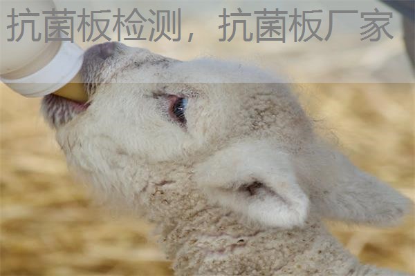 抗菌板检测，抗菌板厂家