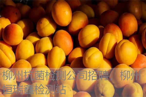 柳州抗菌检测公司招聘,柳州恒瑞鑫检测站 柳州抗菌检测公司招聘,柳州恒瑞鑫检测站