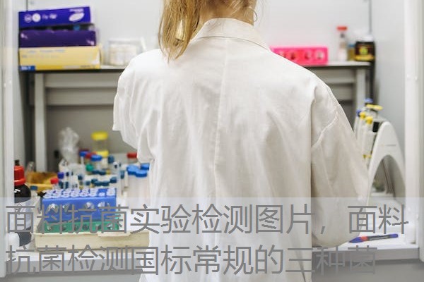 面料抗菌实验检测图片，面料抗菌检测国标常规的三种菌