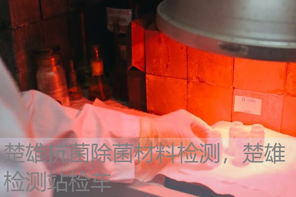 楚雄抗菌除菌材料检测，楚雄检测站检车