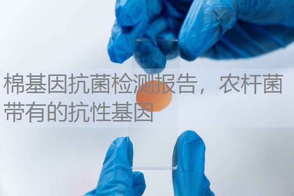 棉基因抗菌检测报告，农杆菌带有的抗性基因