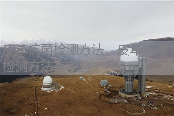 皮革抗菌检测方法，皮革抗菌检测方法有哪些