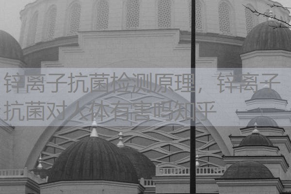 锌离子抗菌检测原理，锌离子抗菌对人体有害吗知乎