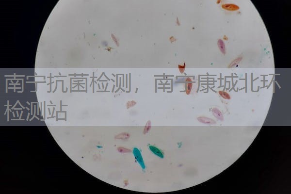 南宁抗菌检测，南宁康城北环检测站