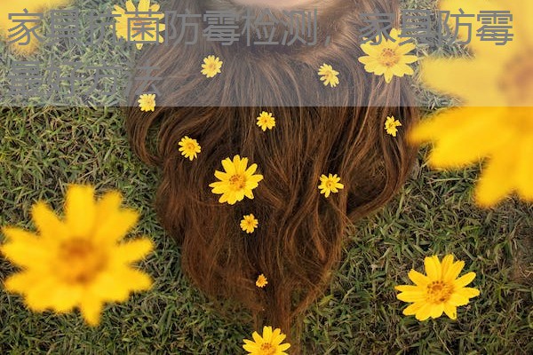 家具抗菌防霉检测,家具防霉最好方法 家具抗菌防霉检测,家具防霉最好方法