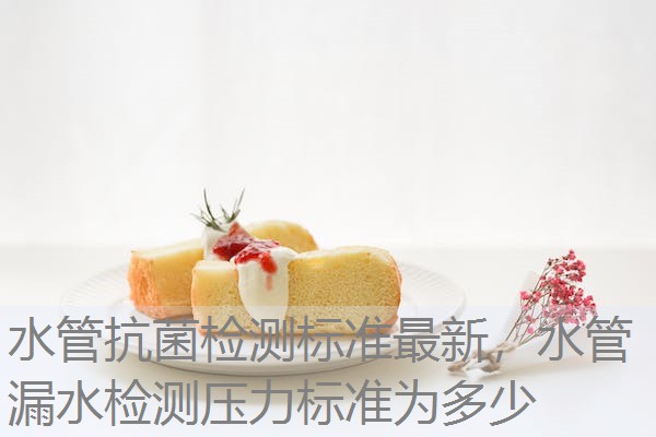 水管抗菌检测标准最新，水管漏水检测压力标准为多少