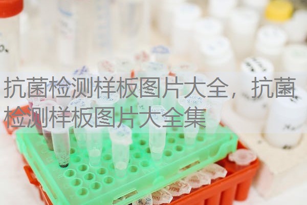抗菌检测样板图片大全，抗菌检测样板图片大全集