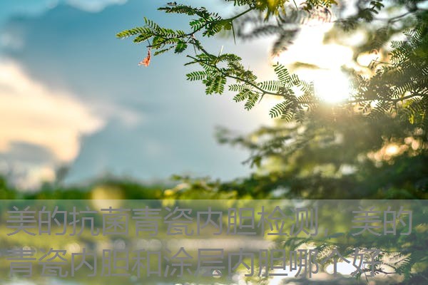 美的抗菌青瓷内胆检测，美的青瓷内胆和涂层内胆哪个好
