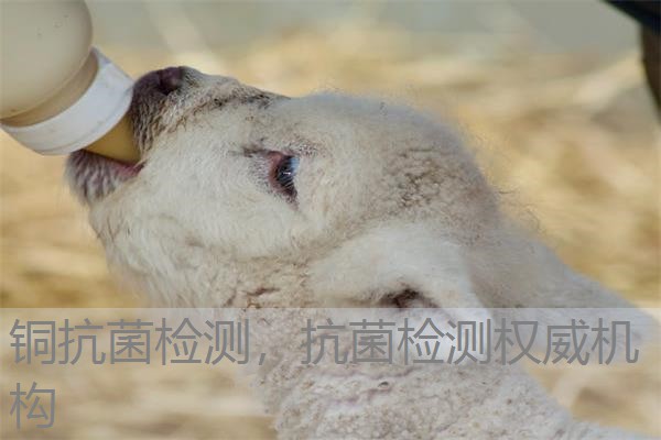 铜抗菌检测，抗菌检测权威机构