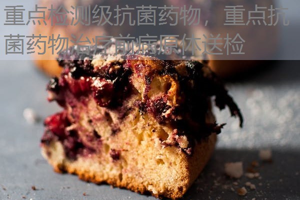 重点检测级抗菌药物，重点抗菌药物治疗前病原体送检