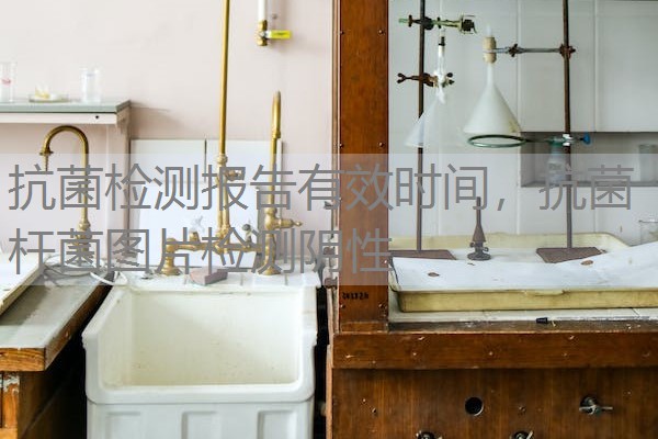 抗菌检测报告有效时间，抗菌杆菌图片检测阴性