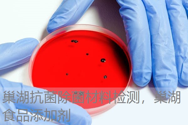 巢湖抗菌除菌材料检测，巢湖食品添加剂