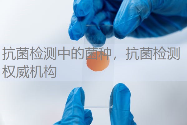 抗菌检测中的菌种，抗菌检测权威机构