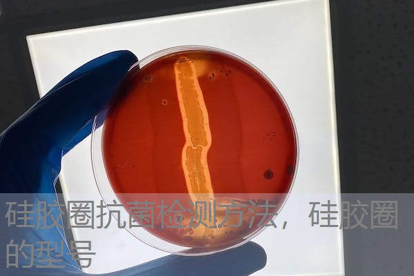 硅胶圈抗菌检测方法，硅胶圈的型号