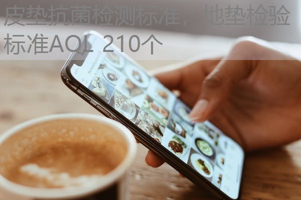 皮垫抗菌检测标准,地垫检验标准AQL 210个 皮垫抗菌检测标准,地垫检验标准AQL 210个