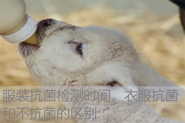 服装抗菌检测时间，衣服抗菌和不抗菌的区别